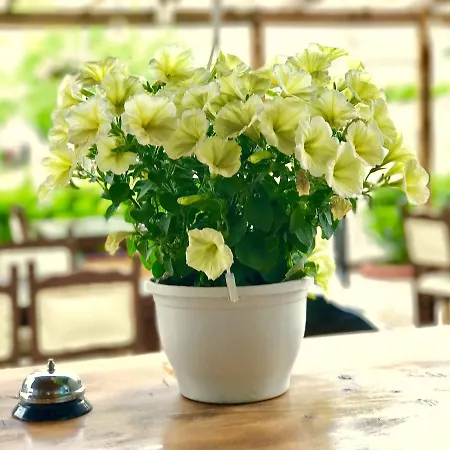 Apart-hotel Nehir Fethiye