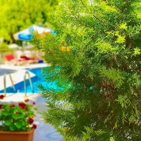 Nehir Apart-hotel Fethiye